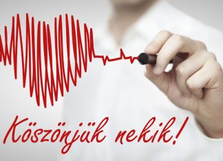 Július 1. – Semmelweis nap – Az egészségügyi intézmények számára munkaszüneti nap