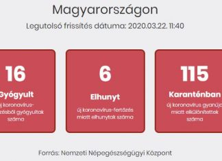 2020.03.22.: 131-re nőtt a beazonosított koronavírus-fertőzöttek száma