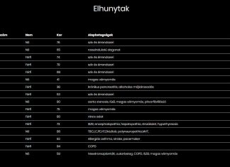 Megjelentek a részletes információk az eddigi elhunytakról