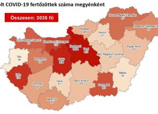 2020.05.04. reggeli koronavírus adatok