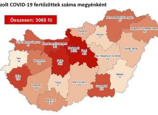 2020.05.05. reggeli koronavírus adatok