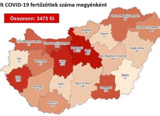 2020.05.16. reggeli koronavírus adatok