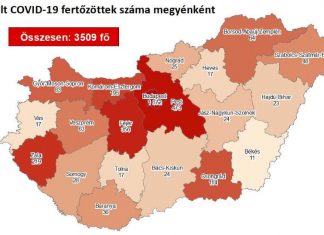 2020.05.17. reggeli koronavírus adatok