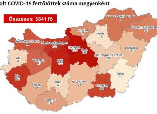 2020.05.29. reggeli koronavírus adatok