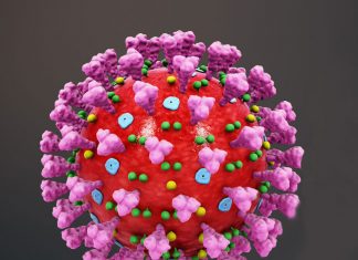 SARS – CoV-2 vírus teszt kivitelezésére vonatkozó eljárásrend