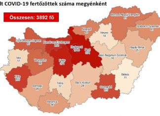 2020.06.01. reggeli koronavírus adatok