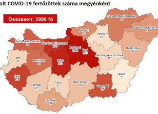 2020.06.06. reggeli koronavírus adatok