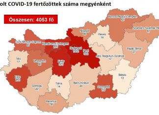 2020.06.12. reggeli koronavírus adatok