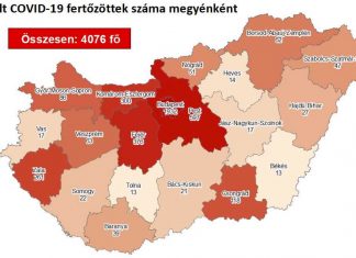 2020.06.15. reggeli koronavírus adatok