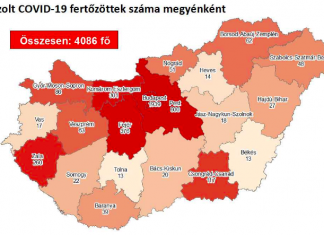 2020.06.20. reggeli koronavírus adatok
