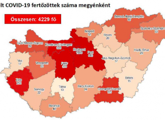 2020.07.11. reggeli koronavírus adatok