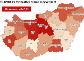 2020.07.13. reggeli koronavírus adatok