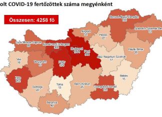 2020.07.14. reggeli koronavírus adatok
