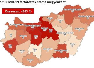 2020.07.15. reggeli koronavírus adatok