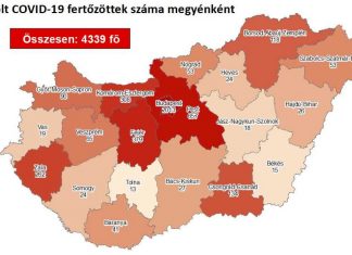 2020.07.20. reggeli koronavírus adatok