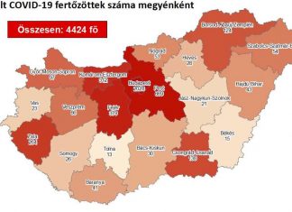 2020.07.25. reggeli koronavírus adatok