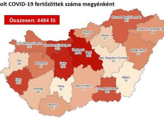 2020.07.30. reggeli koronavírus adatok