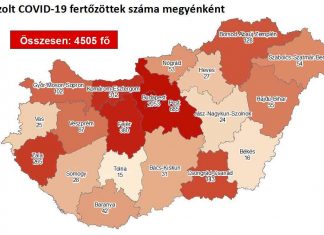 2020.07.31. reggeli koronavírus adatok
