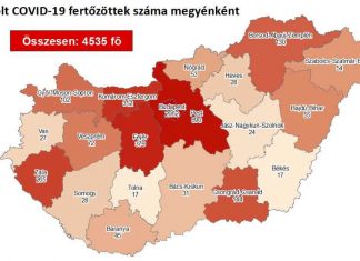2020.08.02. reggeli koronavírus adatok