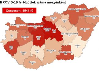 2020.08.03. reggeli koronavírus adatok
