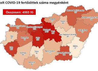 2020.08.04. reggeli koronavírus adatok