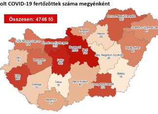2020.08.11. reggeli koronavírus adatok