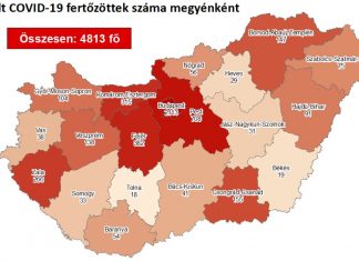 2020.08.13. reggeli koronavírus adatok