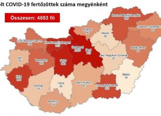 2020.08.14. reggeli koronavírus adatok