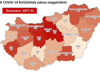 2020.08.15. reggeli koronavírus adatok