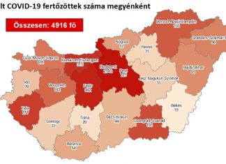 2020.08.16. reggeli koronavírus adatok