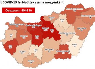2020.08.17. reggeli koronavírus adatok