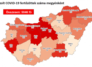 2020.08.20. reggeli koronavírus adatok