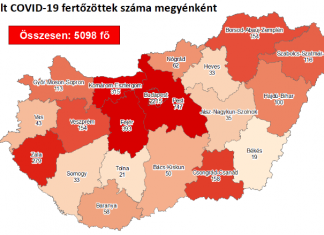 2020.08.21. reggeli koronavírus adatok