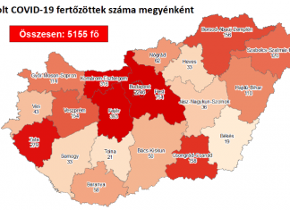 2020.08.23. reggeli koronavírus adatok