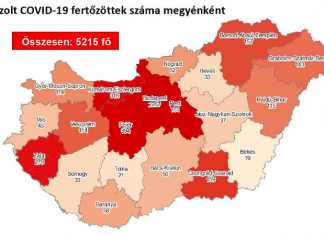 2020.08.25. reggeli koronavírus adatok