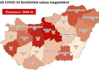 2020.08.29. reggeli koronavírus adatok