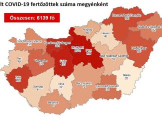 2020.08.31. reggeli koronavírus adatok