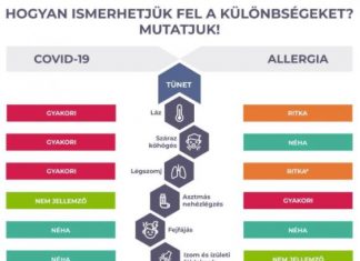 Koronavírus/Pollenhelyzet – A jellemző tünetekről tett közzé tájékoztatást az NNK