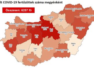 2020.09.01. reggeli koronavírus adatok