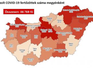 2020.11.03. reggeli koronavírus adatok: 3989 új fertőzött, 84 beteg elhunyt