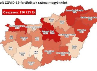 2020.11.14. reggeli koronavírus adatok: 4836 új fertőzött, 107 beteg elhunyt