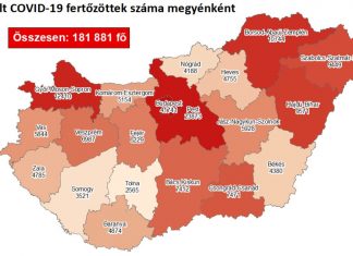 2020.11.24. reggeli koronavírus adatok: 3929 új fertőzött, 117 beteg elhunyt