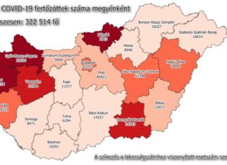 2020.12.31. reggeli koronavírus adatok: 2971 új fertőzött, 108 beteg elhunyt