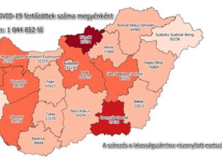 2021.11.24. reggeli koronavírus adatok: 12 637 új fertőzött, 176 beteg elhunyt