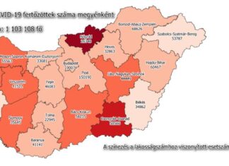 2021.11.30. reggeli koronavírus adatok: 6 390 új fertőzött, 195 beteg elhunyt