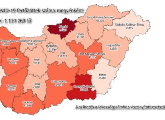 2021.12.01. reggeli koronavírus adatok: 11 152 új fertőzött, 192 beteg elhunyt